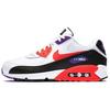 Air Max 90 Essential 'Raptors' Мужские AJ1285-106