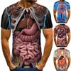 Skeleton Internal Organs 3D Mens Short Sleeve T-Shirt Casual Funny Clothing Tops Tees Streetwear Loose T Shirt Summer Top