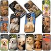 Soft Cover for Samsung Galaxy S25 S24 S23 FE Plus Ultra S7 Edge A16 A15 5G s25+ Coque Phone Case Golden Retriever Dog
