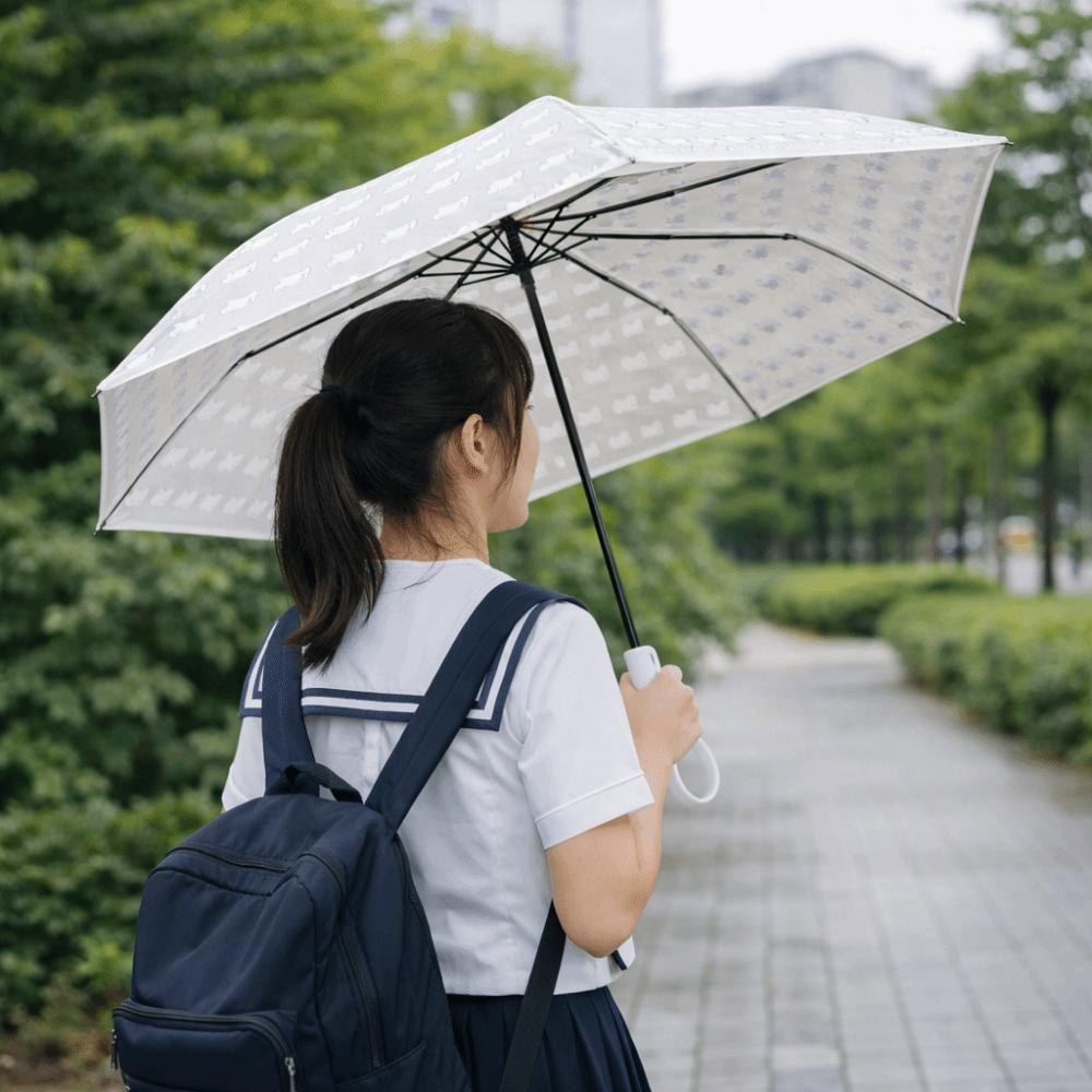 Portable Folding Umbrella Waterproof Transparent Umbrella Cute Automatic Umbrella  Rainy Day