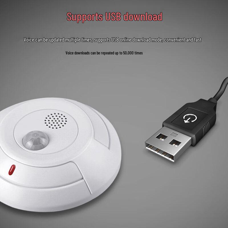 MDNG SK-128 ATM Voice Prompt & Infrared Alarm CN plug (adapter included)