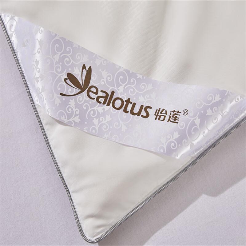 Yilian Natural Tussah Silk Quilt YL-819