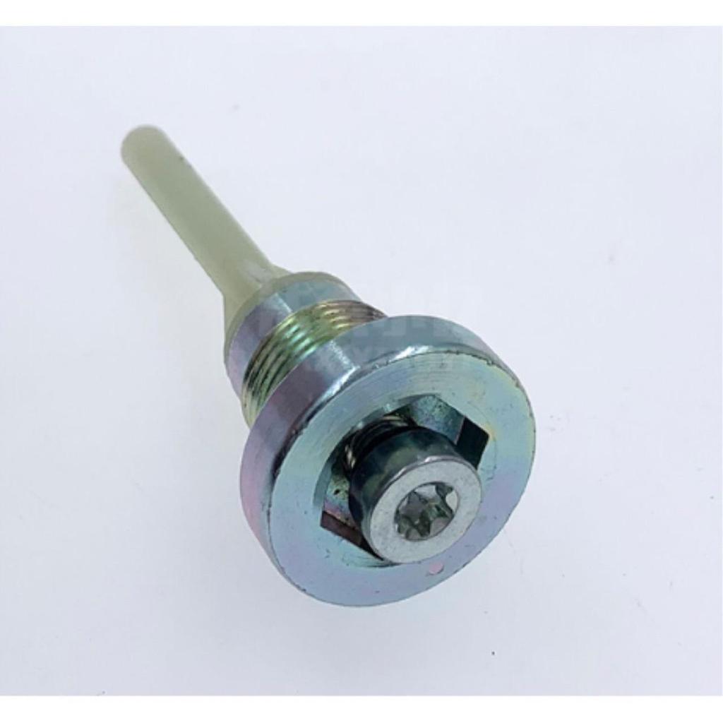 Peugeot 3008/4008/508 & Citroen C5/C4L 6-Speed Gearbox Drain Plug 221347