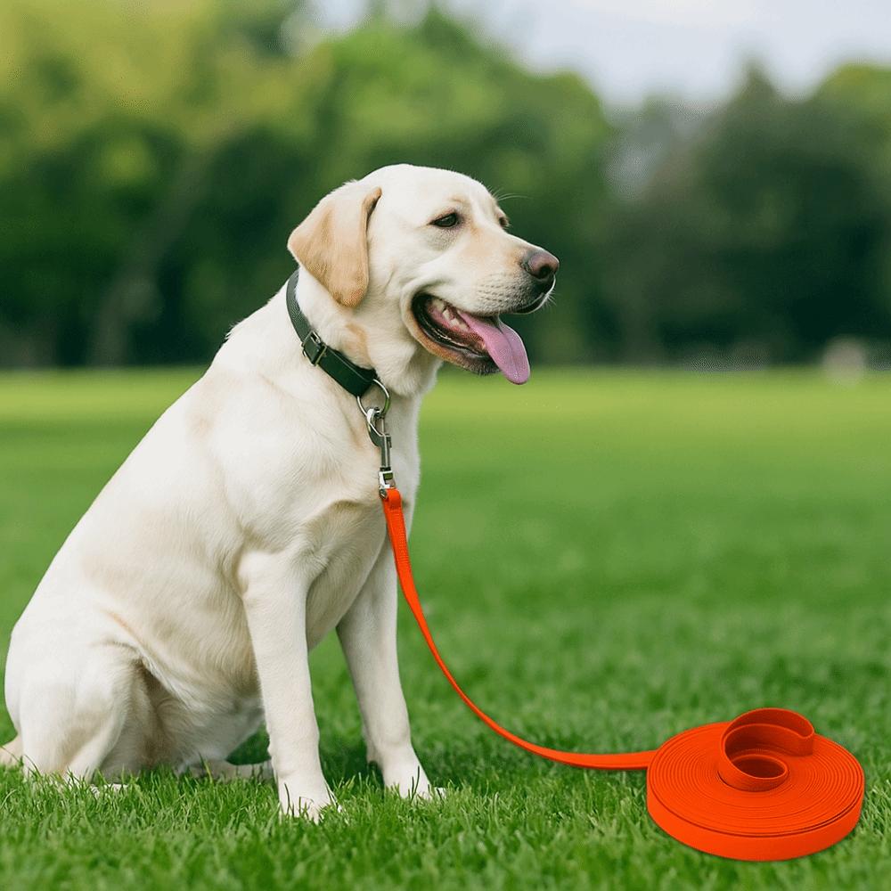 3/5/10/15 м Длинный Поводок для Собаки Водонепроницаемый Поводок для Дрессировки Питомца Прочный ПВХ Поводок для Собаки Туризм