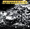CD STEPPENWOLF - At Your Birthday Party MCD01668 MCA Records Europe Rock Used
