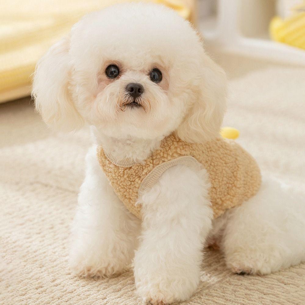 Теплый плюшевый жилет для собак с изображением динозавра, зимняя одежда для кошек, двуногая одежда для кошек и собак