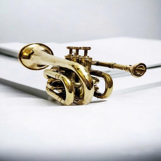 Духовые инструменты, труба с горном, 3-клапанный мундштук, декоративная латунная труба, рожок, флюгельгорн, подарок для двоюродных братьев и сестер