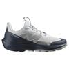 SALOMON Кроссовки Elixir Activ 'Glacier Grey Carbon' L47455400