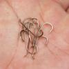 800Pcs High Carbon Steel Barb Barbless Fly Tying Hook For Dry Wet  Nymph Jig Nymph Streamer Caddis Fly Trout Fishing Lures