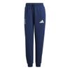 Adidas Womens/Ladies Olympic Poland Tracksuit Bottoms
