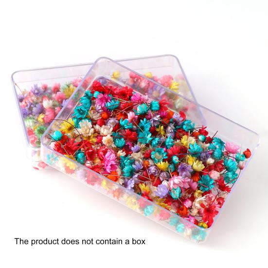 Привлекательный стабилизированный цветок, отличное качество изготовления, натуральный цветок ручной работы