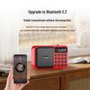 Pulisheng C4 Bluetooth Radio: Multifunctional Player with Antenna, Card Slot, and Large Volume for Seniors.