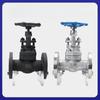 YunDuo F304 Forged Stainless Steel Flanged Globe Valve