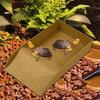 Reptile Bathtub Feeding Box Sunbathing Pet Accessories Multipurpose Nonslip Water Pool