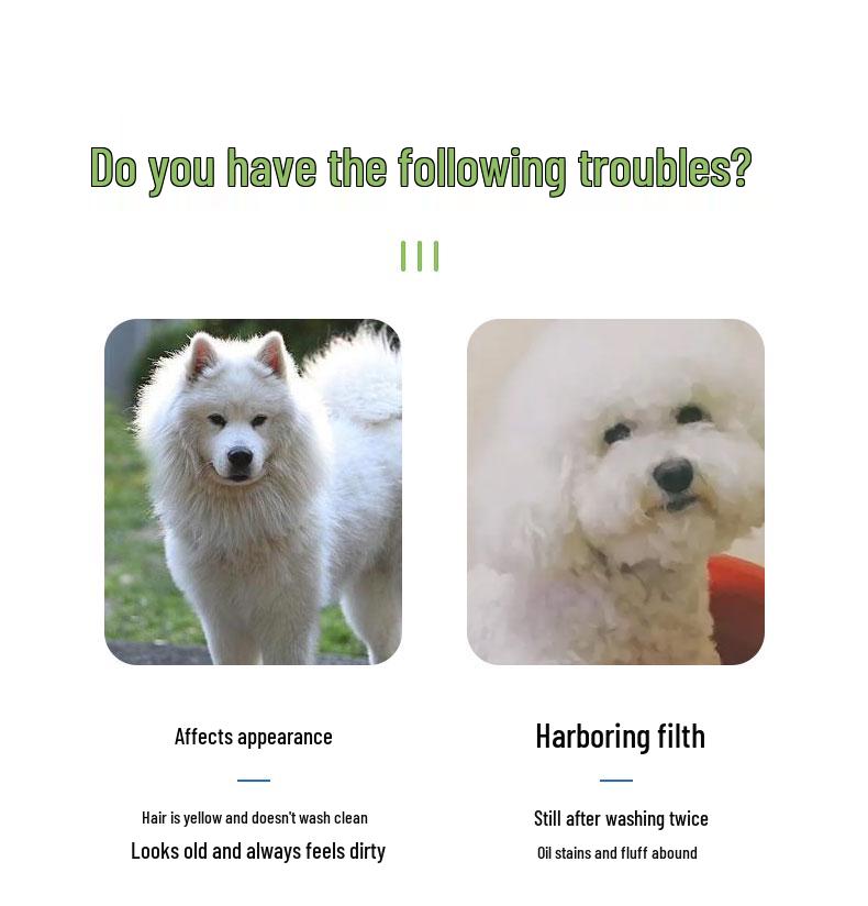 Шампунь для отбеливания померанского шпица и самоеда для белых собак