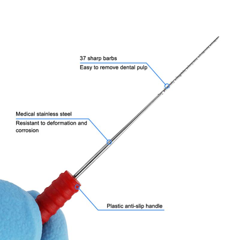 10 шт. Стоматологические нервные колючие броши Эндодонтические инструменты Корневой канал 21/25 мм Очистка Ручные файлы Ручка Стоматологические инструменты