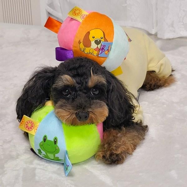 Игрушка для собак Petka, мини-мячик для буксира, игровой набор для игры в буксир, 2 предмета