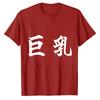 Big Tits Tshirt Fun TShirt Letter Short Sleeve Clothes Chests Breasts Small Breasts Funny Shirt Offensive Tops Oneck