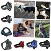 Stylish And Functional Pet Chest Harness For Big Dogs No Pull Design Ideal For Training