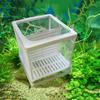 Guppy Rearing Double Aquarium Incubator Breeder Breeding Isolation Box Grow Seed Holder Hatchery