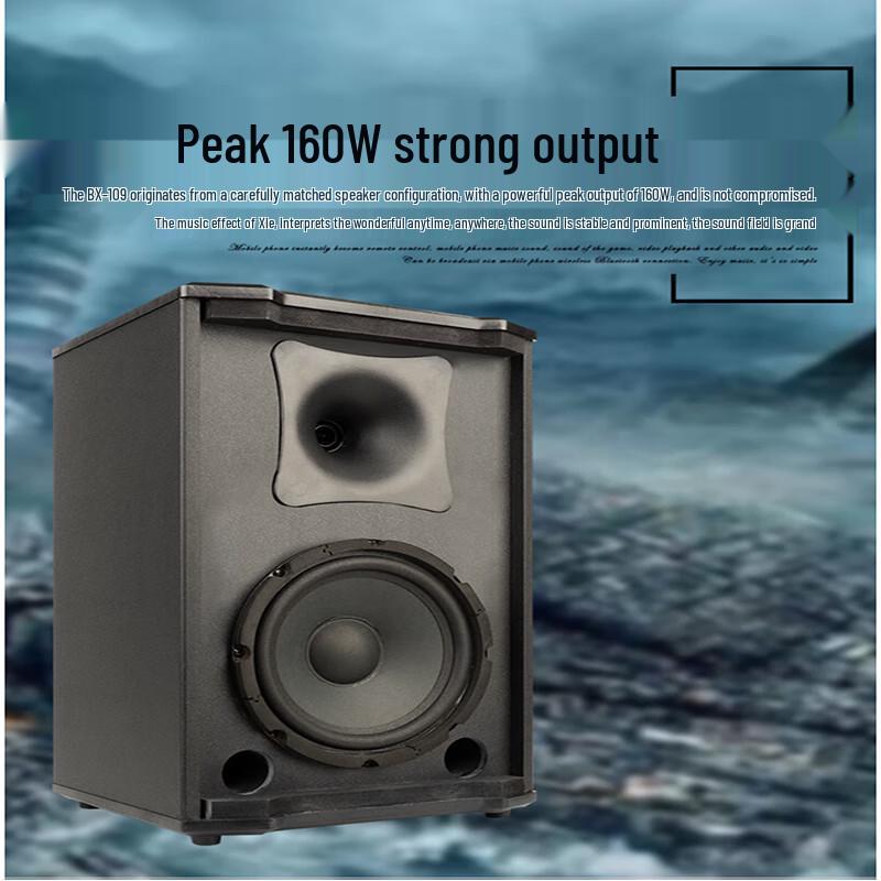 Shile BX-109 8-дюймовый профессиональный пассивный громкоговоритель (Китайская версия)