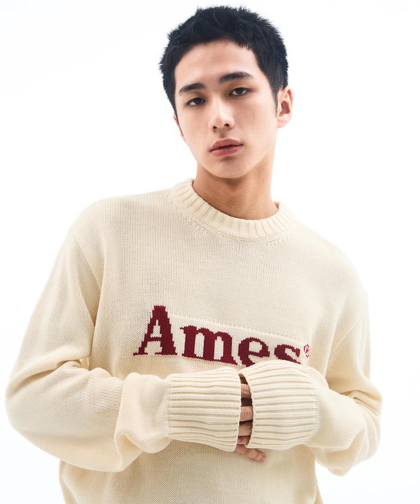 AMES-WORLDWIDE Basic Pullover Knit Ivory