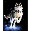 Husky Animal DIY Digital Painting By Numbers Modern Wall Art Canvas Painting Unique Gift Home Decor 40x50cm
