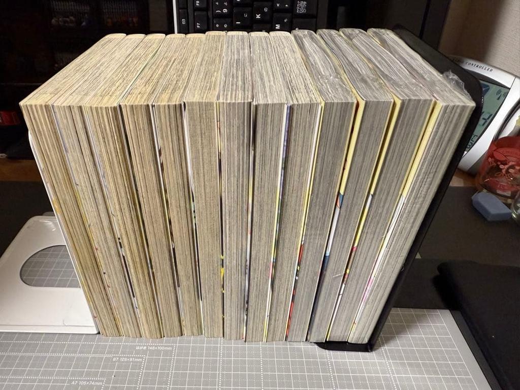 [USED] A Bouquet for an Ugly Girl. All Volumes 1-13 (10, 11, 12, 13) with Bonuses