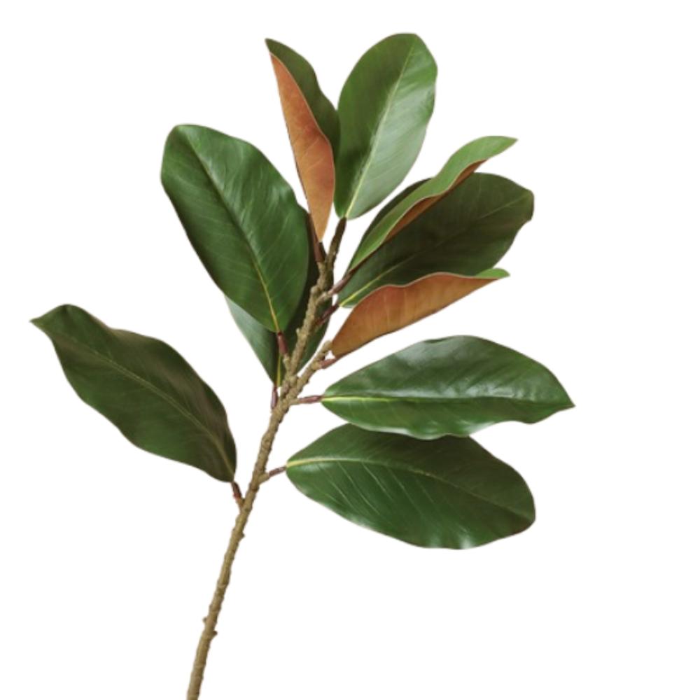 Реалистичные Искусственные Ветви Листьев Магнолии 57 см Имитация Зеленых Растений Свадебный Декор