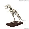 BANDAI SPIRITS Planosaurus Gachiko Seibutsu Club Tyrannosaurus 1915 Color-coded Plastic Model