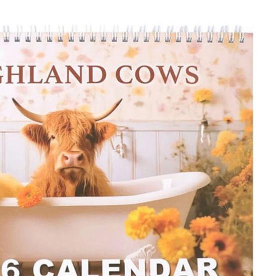 Decorative Office Calendar 2027 Wall Calendar, Monthly Planner with Metal Twin-Wire Binding for Professional Supplies Easy Page Turning And