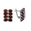 Серебряные серьги с натуральным гранатом 9.368ct (2061328)