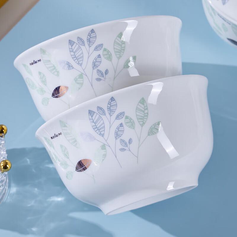 Aiyiresi Refreshing 10-Piece Ceramic Dinnerware Set