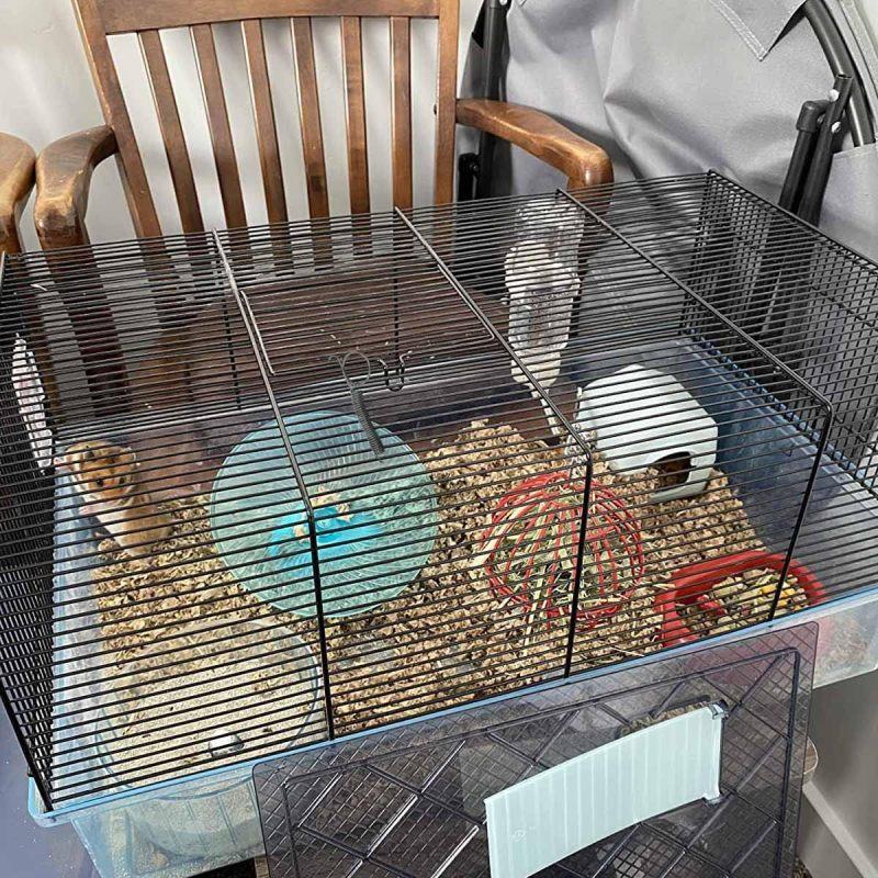 10 шт., пружинная защелка для клетки, многофункциональная дверная клетка, пружинный крючок, металлический крючок с пружинной защелкой для фиксации двери клетки для домашних животных