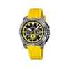 Часы Festina F20725-1