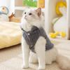 Autumn and Winter Cute Bear Cat Ragdoll Cat Blue Cat Winter Warm Two Feet Fleece Coat Puppy Dog Pet Cat Clothes