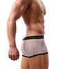 Men Shorts Elastic Waist Underwear Sexy Breathable Mesh See Through Briefs