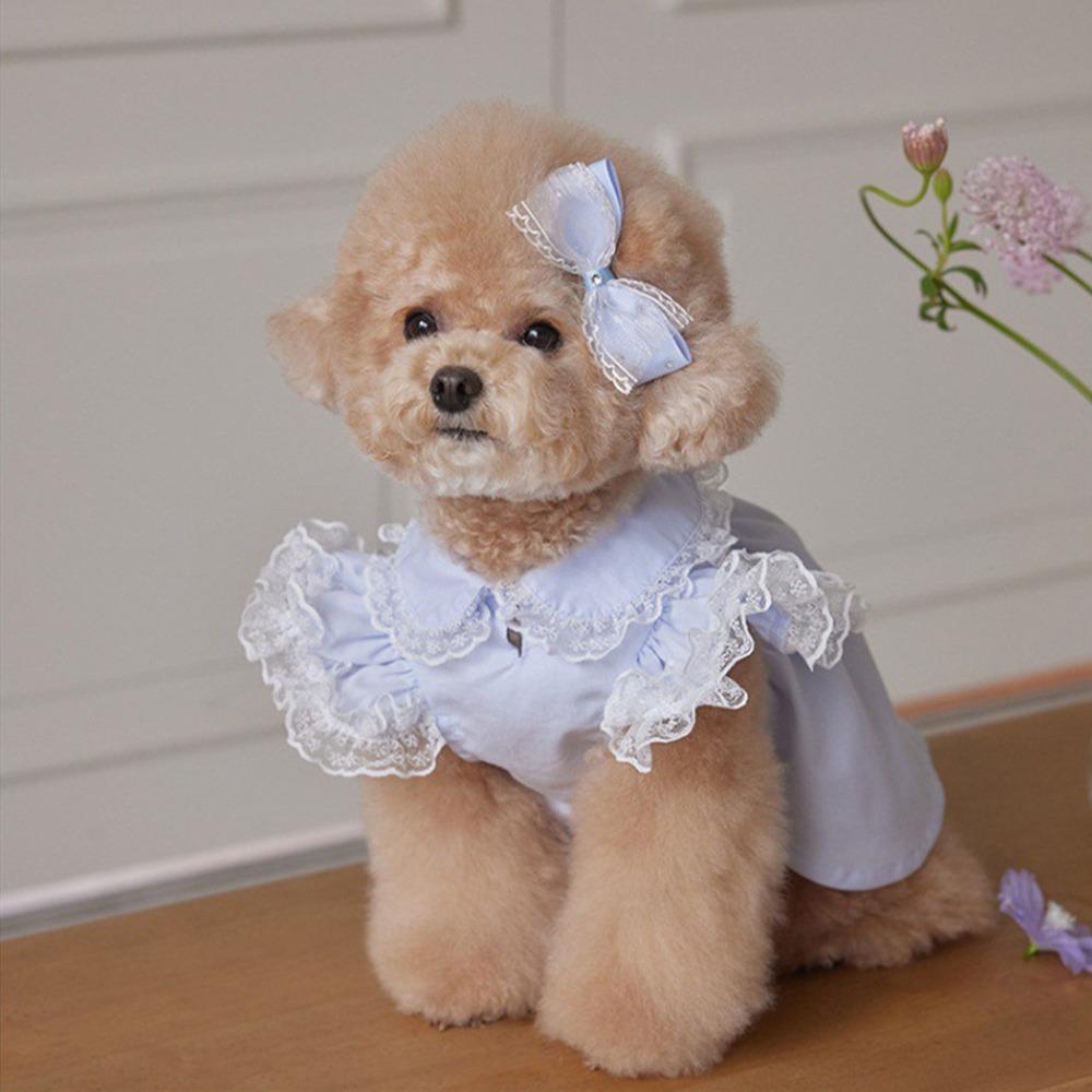 Pet Supplies Lace Ruffle Dog Princess Dress Fashion Breathable Cat Flying Sleeve Skirt Soft Pet Clothes Autumn