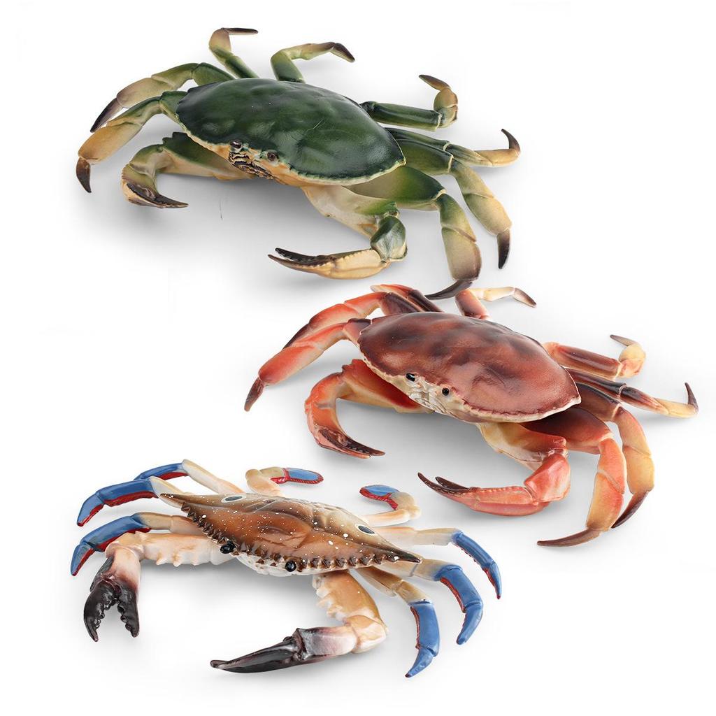 Marine Animal Crab Model: Children's Cognitive Toy and Decorative Three-Eyed Blue Crab Ornament