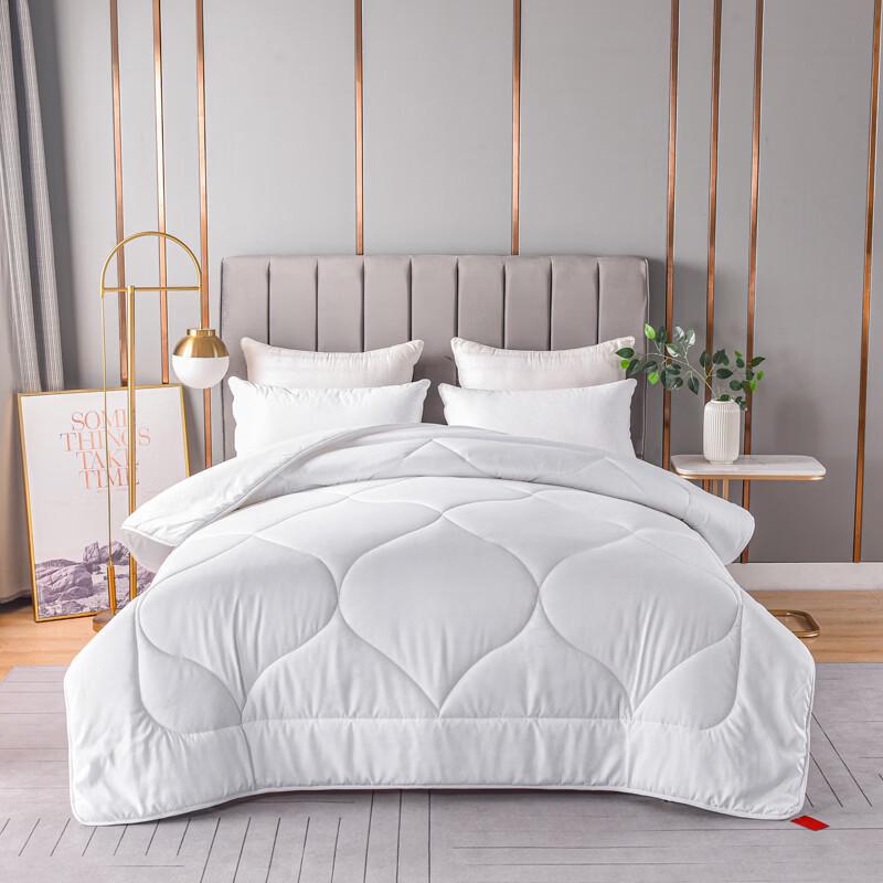 LOVO Luxurious All-Season Warm Quilt