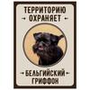Металлическая табличка «Осторожно, злая собака», табличка на забор или дверь 18x25 см