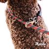 EZYDOG (Авторизованный дистрибьютор) Морской поводок для собаки, Оранжевый, 170 см