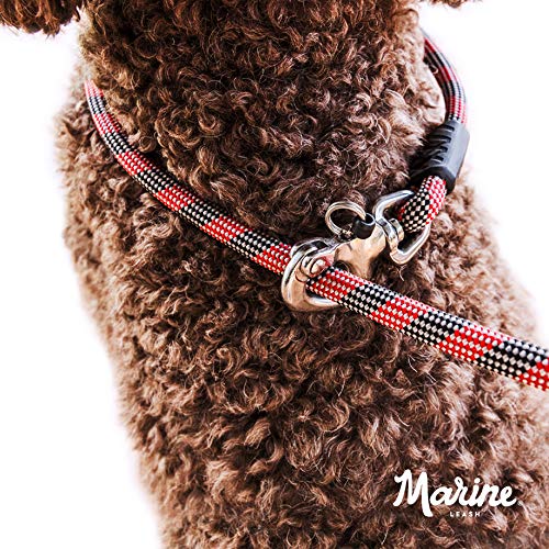EZYDOG (Авторизованный дистрибьютор) Морской поводок для собаки, Оранжевый, 170 см