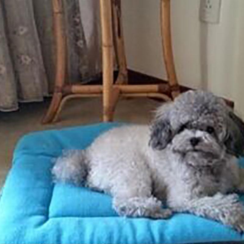 Мягкие коврики для собак, подушки для кошек, коврики для домашних животных, кровать для сна щенка, будка, теплое толстое одеяло, матрас для маленьких, средних, больших собак, кровать