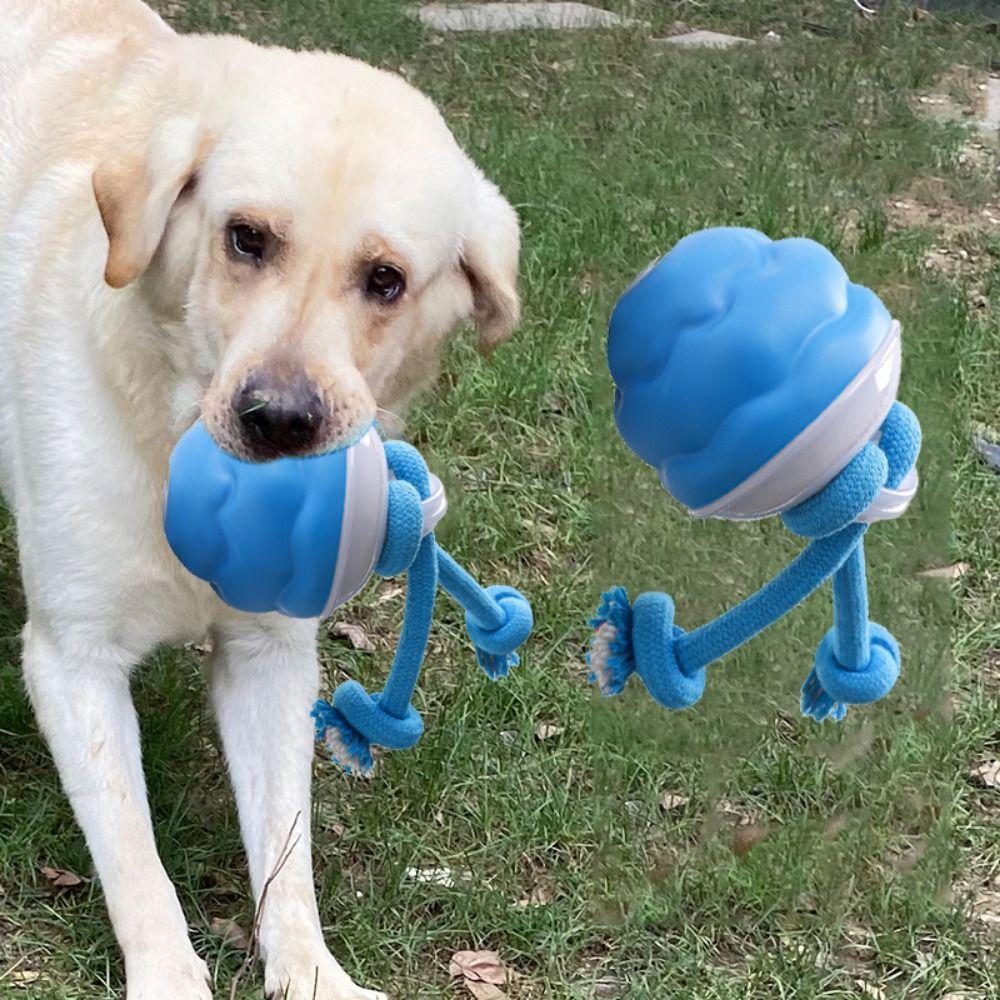 LED Lighting Electric Dog Toy Ball Automatic Bouncing Dog Interactive Ball Dog Supplies