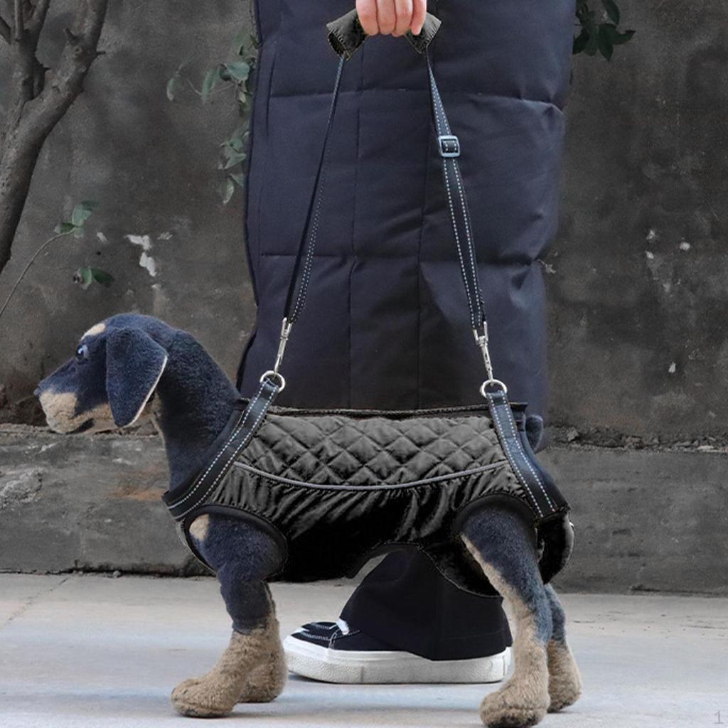 Регулируемая шлейка для поддержки собак, обеспечивающая помощь в передвижении