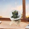 Glass Flower Pot Head Planter Bonsai Small for Balcony Courtyard Yard
