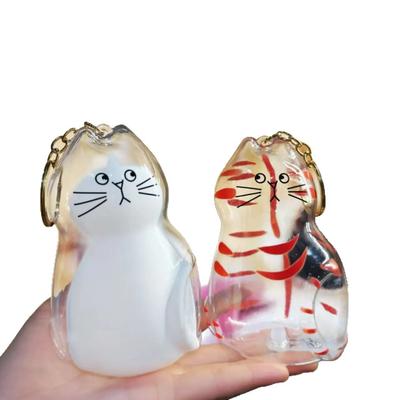 Большой прозрачный ящик для хранения кошачьей шерсти, подвеска, капсула для кошачьей шерсти, памятная коллекционная сумка, подвеска-брелок, кошачьи аксессуары