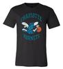 Футболка с состаренным логотипом команды НБА Charlotte Hornets S - 6XL!!! Быстрый корабль! Футболка Unisex