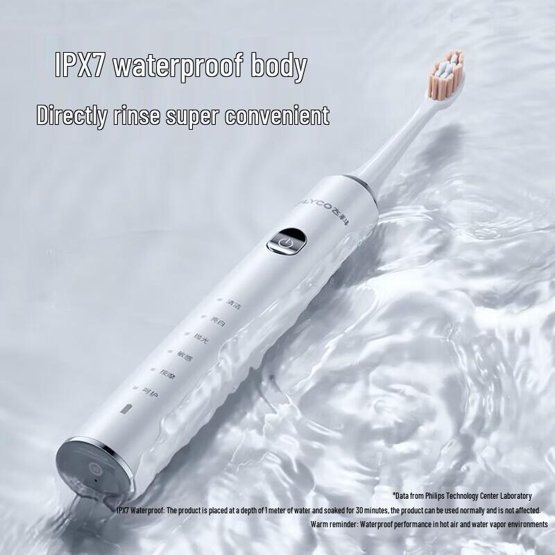Flyco Умная звуковая электрическая зубная щетка FT7205, штекер CN (адаптер в комплекте)